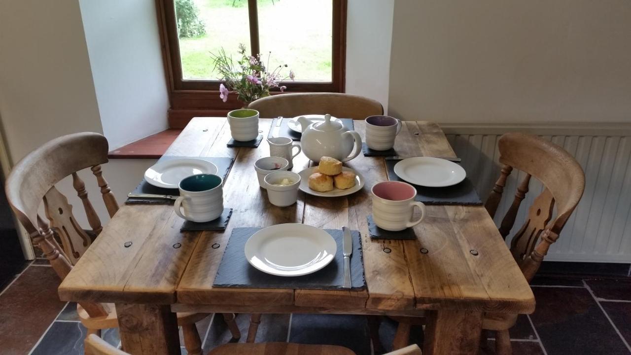 Coopers Cottage Dog Friendly North Cornwall Delabole Εξωτερικό φωτογραφία